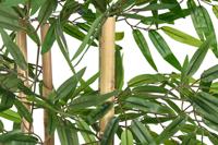 Boomstructuur Home ESPRIT Polyester Bamboe 40 x 40 x 180 cm - thumbnail