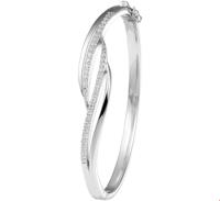 TFT Slavenband Zilver Scharnier Zirkonia 11 X 60 mm - thumbnail