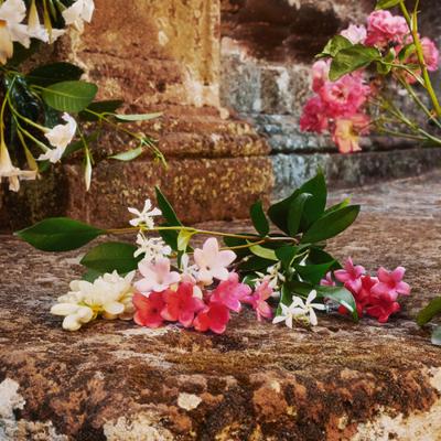 Damesparfum Gucci Bloom EDT