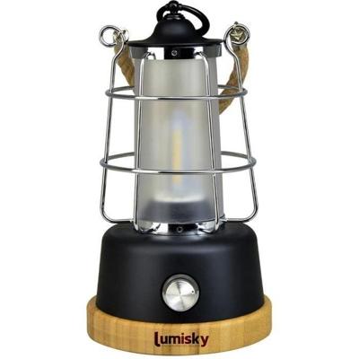 Draadloze lantaarn - LUMISKY - WILDY - H23 cm - Touwhandvat - Warmwitte en dimbare LED