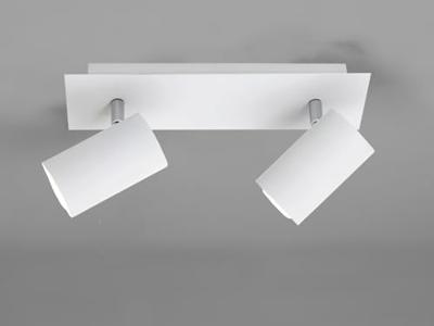 Trio Moderne plafondspotSeries 8024 2-lichts wit - 802400201
