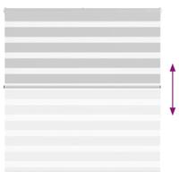 VidaXL Zebra rolgordijn 140x150 cm stofbreedte 135,9 cm lichtgrijs - thumbnail