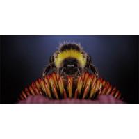 Wanddecoratie Wonderful Life 007 98x48cm - thumbnail