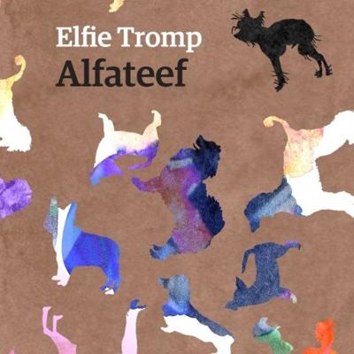 Alfateef