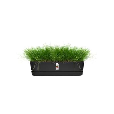 Elho Bak greenville trough long 70cm Zwart Elho Bak greenville trough long 70cm Zwart
