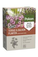 Pokon Pokon Terras & Balkon Planten Wateroplosbare Voeding - 500g - thumbnail