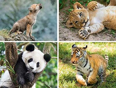 Clementoni legpuzzel Wildlife 4 puzzels 20/60/100/180 stukjes Clementoni legpuzzel Wildlife 4 puzzels 20/60/100/180 stukjes