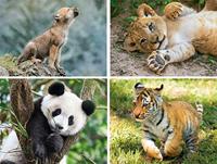 Clementoni legpuzzel Wildlife 4 puzzels 20/60/100/180 stukjes - thumbnail