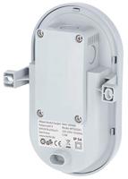 Led lamp ovaal 55w - thumbnail