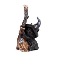 Heksen Zwarte Kat met bezem - thumbnail