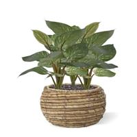 Philodendron Birkin kunstplant 30cm - thumbnail