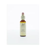 Bach Flower Remedie 36 Wild Oat 20ml - thumbnail