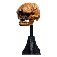 Lord of the Rings Mini Statue Skull of a Misty Mountain Goblin 14 cm - thumbnail