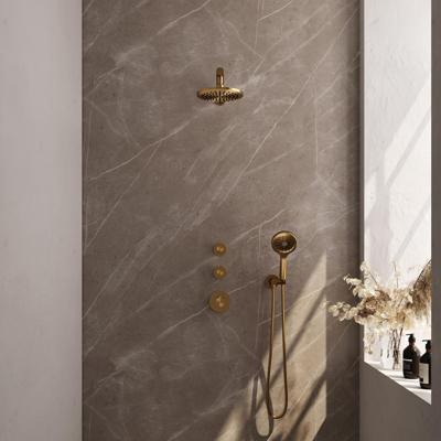 Gold Carving thermostatische regendouche SET 07 met 20 cm douchekop, handdouche, doucheslang en wandaansluitbocht goud geborsteld PVD Gold Carving thermostatische regendouche SET 07 met 20 cm douchekop, handdouche, doucheslang en wandaansluitbocht goud geborsteld PVD