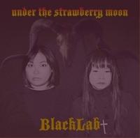 Under The Strawberry Moon - CD (5055869505727) - thumbnail