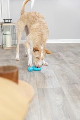 TRIXIE Slang voor lekkers - 18 cm