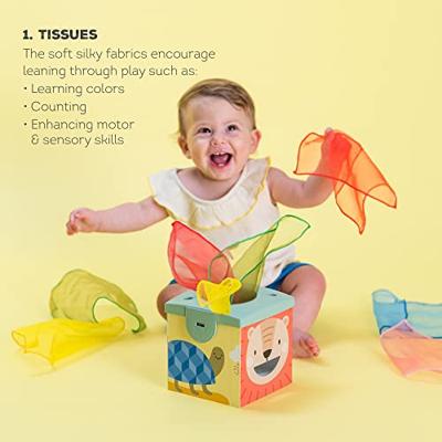 Kimmy koala wonder tissue box - thumbnail