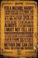 Poster Harry Potter - Quotes 61x91,5cm - thumbnail