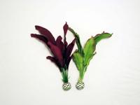 BiOrb zijden aquarium planten medium groen & paars aquarium decoratie - thumbnail