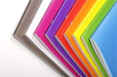 Clairefontaine schrift mimesys voor ft A4, 80 bladzijden, kaft in PP, gelijnd, geassorteerde kleuren