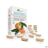 Soria Sorizen Comp 60 10032 - thumbnail