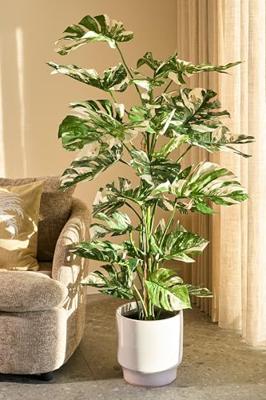 Mica Decorations kunstplant monstera 140cm groen