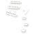 Fender Pure Vintage '50s Stratocaster Accessory Kit - thumbnail