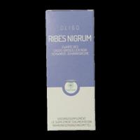 RP Vitamino Analytic Oligoplant Ribes Nigrum - thumbnail