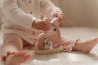 Little Dutch Fairy Garden houten wiebel hertje - thumbnail