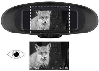 Digital NV Binocular 3x w. recording Monochrom