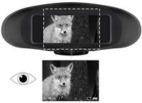 Digital NV Binocular 3x w. recording Monochrom - thumbnail