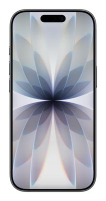 Apple iPhone 17 256 GB: 6,3-inch display met ProMotion, A19-chip, Center Stage-camera aan de voorkant voor slimmere groepsselfies, betere krasbestendigheid, batterij voor een hele dag; Zwart
