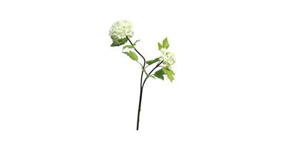 Viburnum Roseum x2 cream 50 cm kunstbloem Erutan Avon - Erutan avon Viburnum Roseum x2 cream 50 cm kunstbloem Erutan Avon - Erutan avon