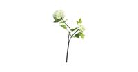 Viburnum Roseum x2 cream 50 cm kunstbloem Erutan Avon - Erutan avon - thumbnail