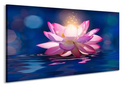 Schilderij - Betoverende Lotus, 2 maten, premium print