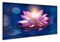 Schilderij - Betoverende Lotus, 2 maten, premium print - thumbnail