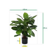 Calathea Rosea Picta kunstplant 80cm - thumbnail