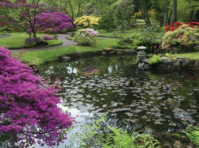 Aziatische tuin 70x50cm Tuinschilderij Customize-it - Customize it Aziatische tuin 70x50cm Tuinschilderij Customize-it - Customize it