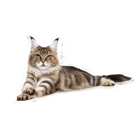 Royal Canin - Royal Canin Light Weight Care - 400 g - thumbnail