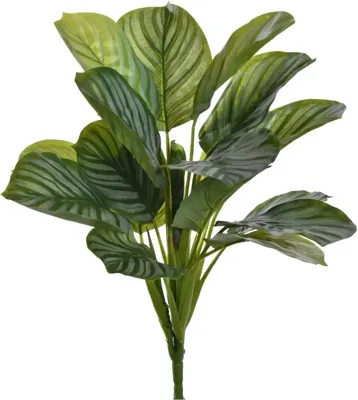 Pure Royal kunstplant calathea 40cm groen