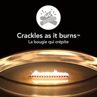 WoodWick Geurkaars Ellipse Black Cherry - 9 cm / 19 cm - Geurkaars in Glas - Houten Lont - thumbnail