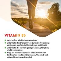 Vitals Vitamine B5 250mg Capsules - thumbnail