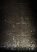 BRESSER BR-F1440 Achtergronddoek met Print 1,8x2,5m - thumbnail