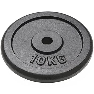 Halterschijven 20 kg gietijzer 2 st