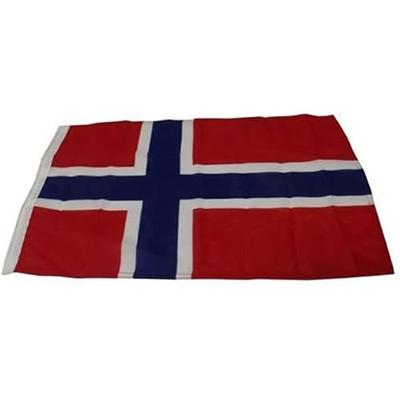 GS73456 - NOORSE VLAG 30X45