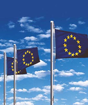 Vlaggenmast aluminium met vloerhuls Ø 50 mm lengte: 6,20 m