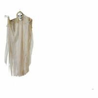 Halloween Decoraties Skelet - thumbnail