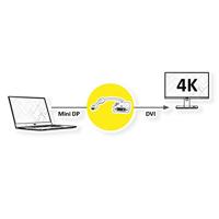 ROLINE 4K Mini DisplayPort-DVI Adapter, Mini DP M - DVI F - thumbnail