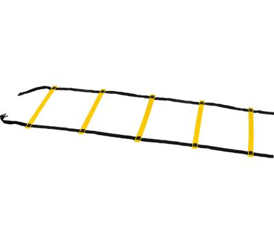 Derbystar Coordinatieladder (6m)