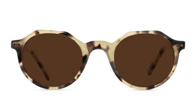 Leeszonnebril Frank and Lucie Eyecube-Greyvanna-+1.00